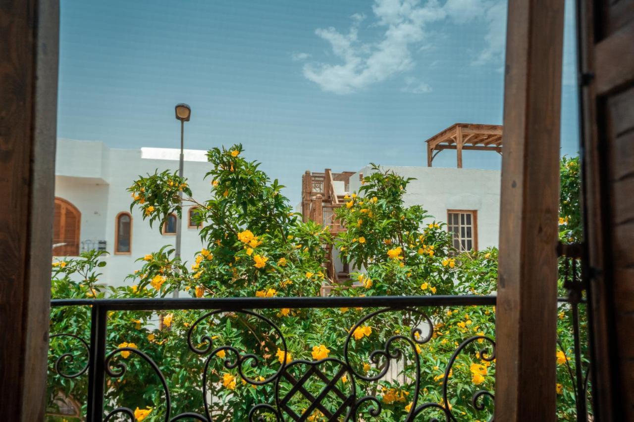 Rafiki Hostels - Dahab Esterno foto