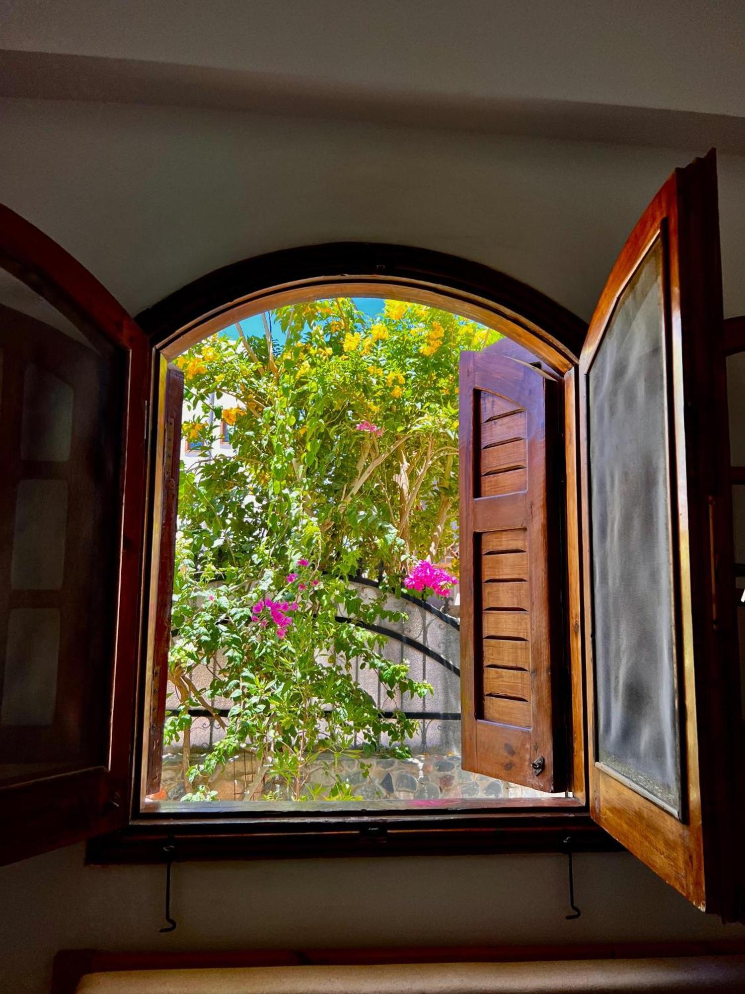 Rafiki Hostels - Dahab Esterno foto